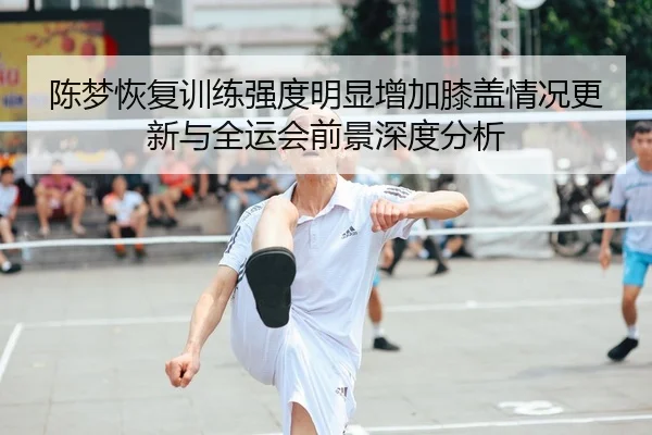 陈梦恢复训练强度明显增加膝盖情况更新与全运会前景深度分析
